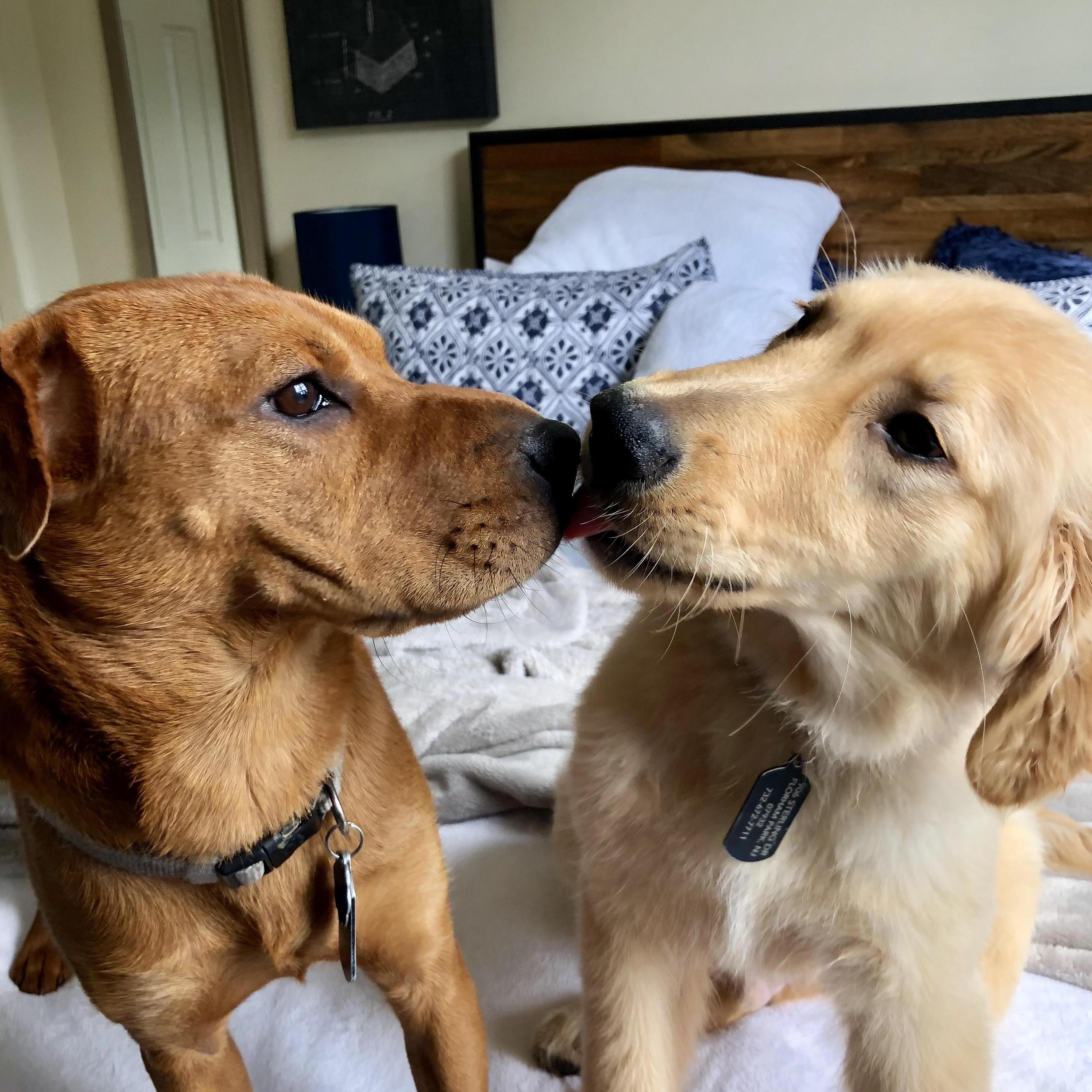 Besties!