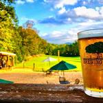 Brewing Tree Beer Company