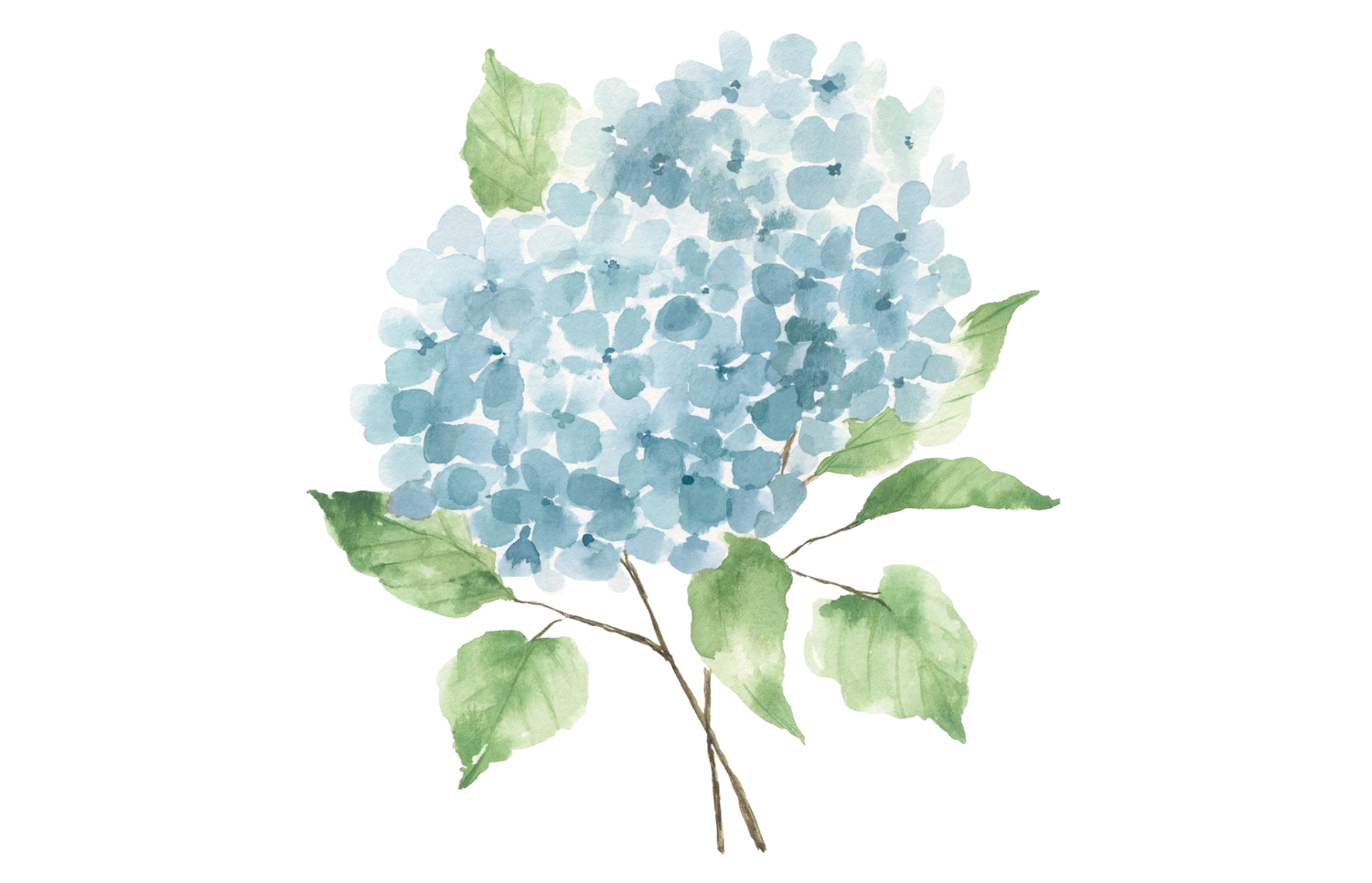 The Wedding Website of Alexa DeFulgentis and Joshua Custer