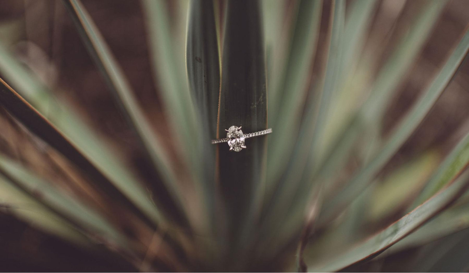 The Wedding Website of Shawnee McCampbell and Jack Payne