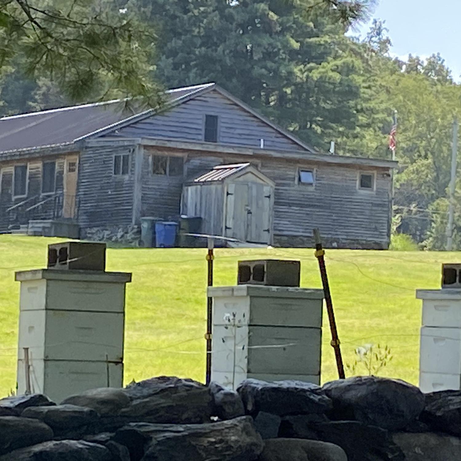 BEE HOUSES