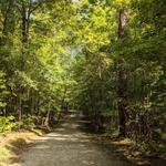 Duke Forest Gate 26 - Hiking Trail
