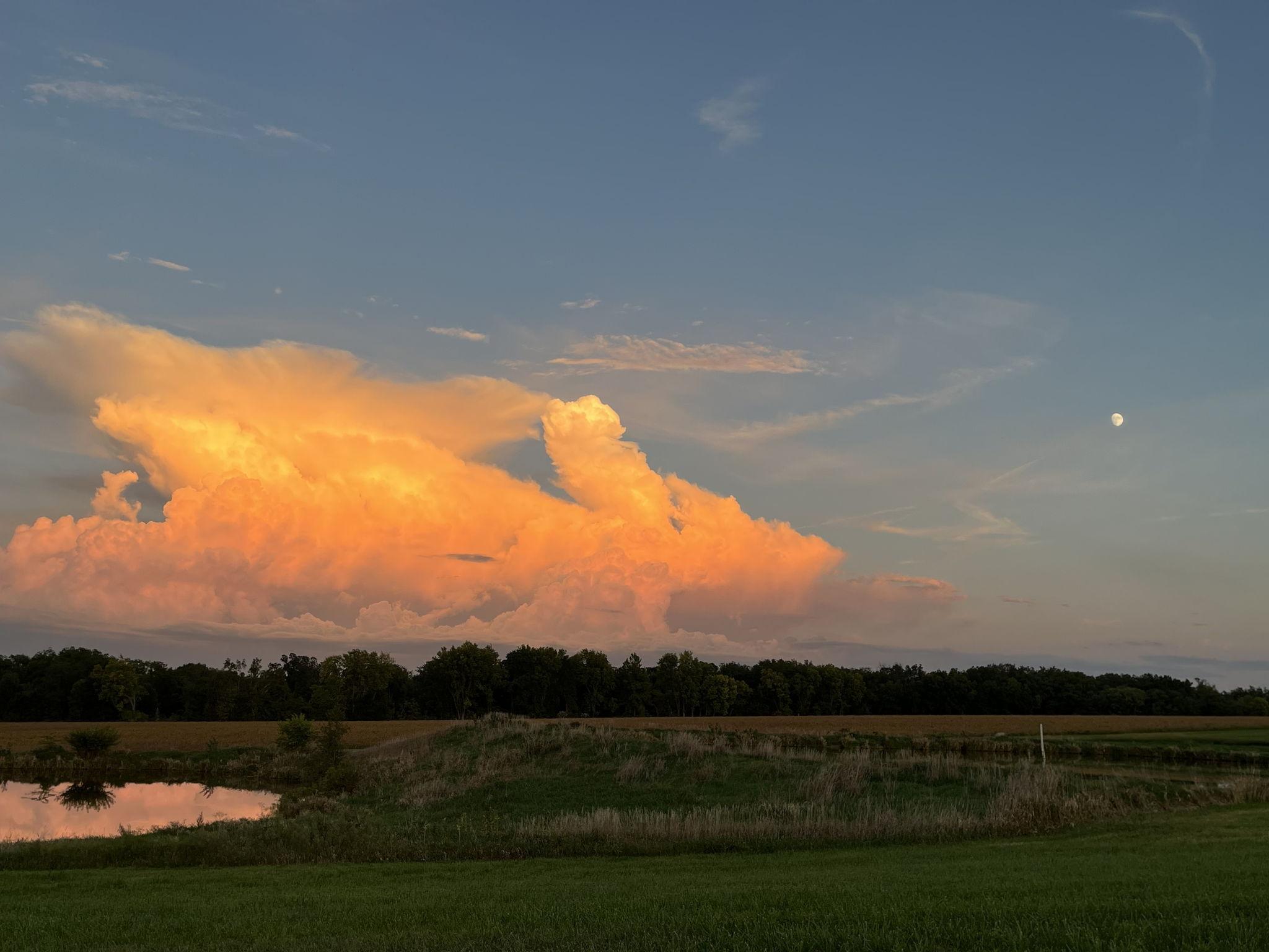 The Wedding Website of Rachael Richards and Garrison Ortiz