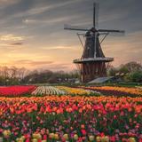 Holland