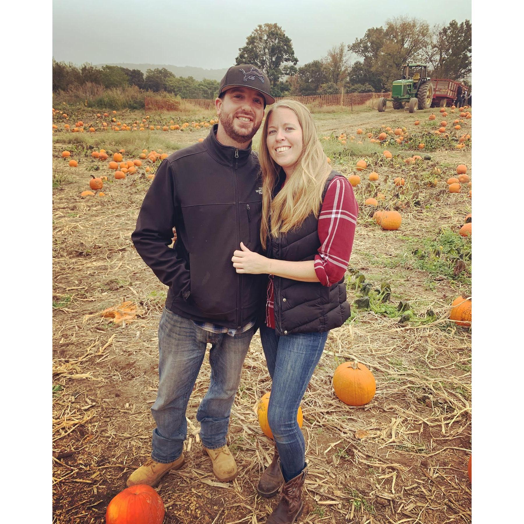 Pumpkin Picking 2019