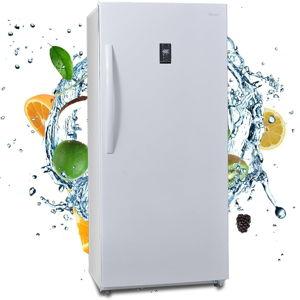 Stand Up Chest Freezer