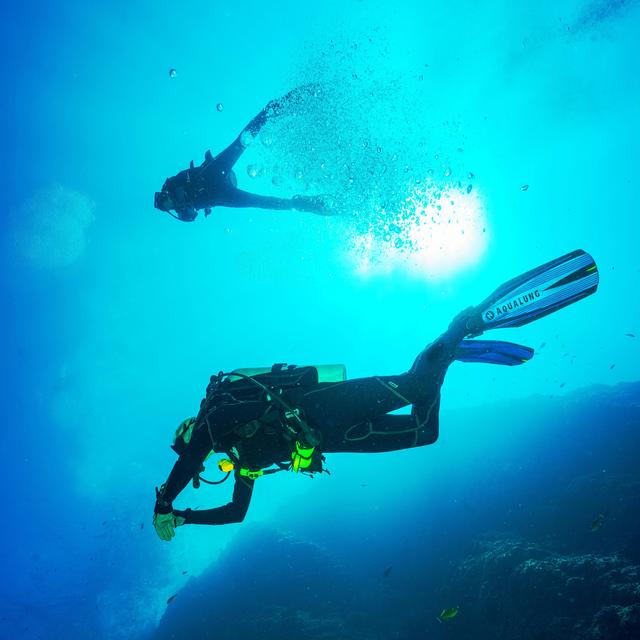 Honeymoon - SCUBA Diving