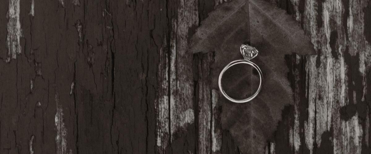 The Wedding Website of Elijah Smith and Ella Ferguson