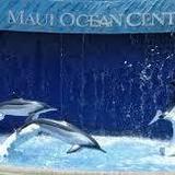 Maui Ocean Center, The Aquarium of Hawaii