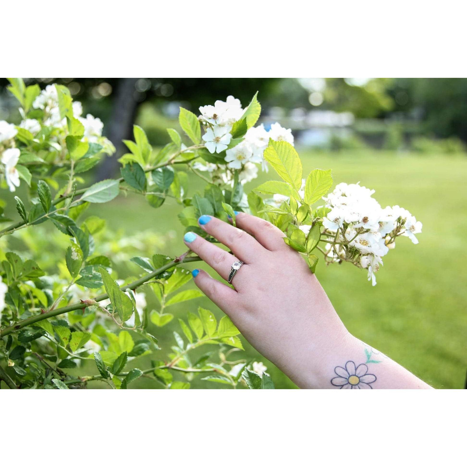 Engagement Photos 🖤
♡Location: North Tonawanda Botanical Gardens
♡Photographer: Alyssa Knowlton, Lyssa Lee Photography