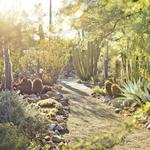 Tucson Botanical Gardens