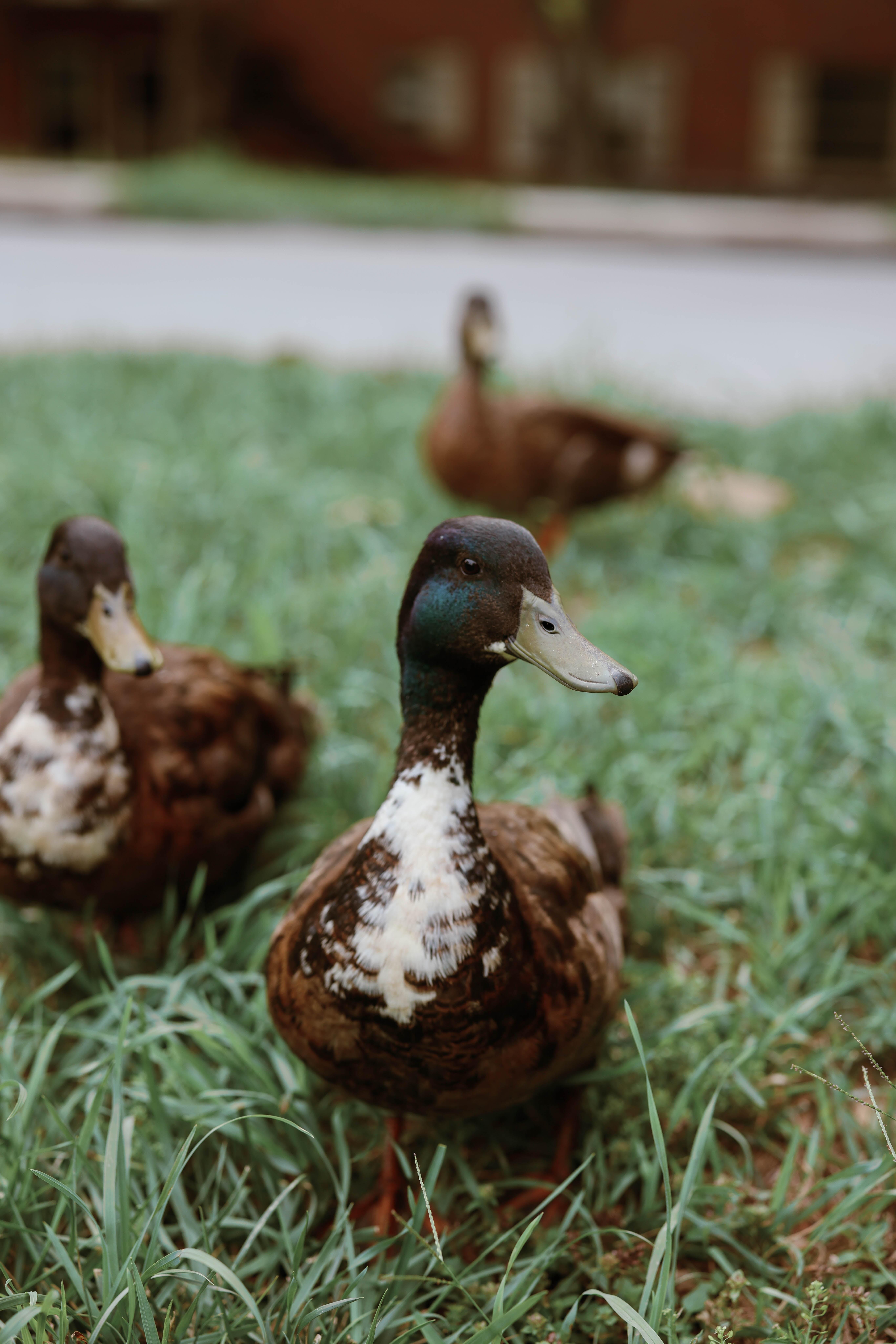 The Wedding Website of Jessica Walker and William Robertson III