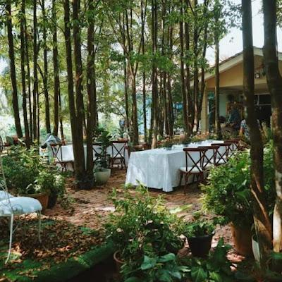 The Wedding Website of Mustaqim Abd. Rahman and Nazurah Husaini
