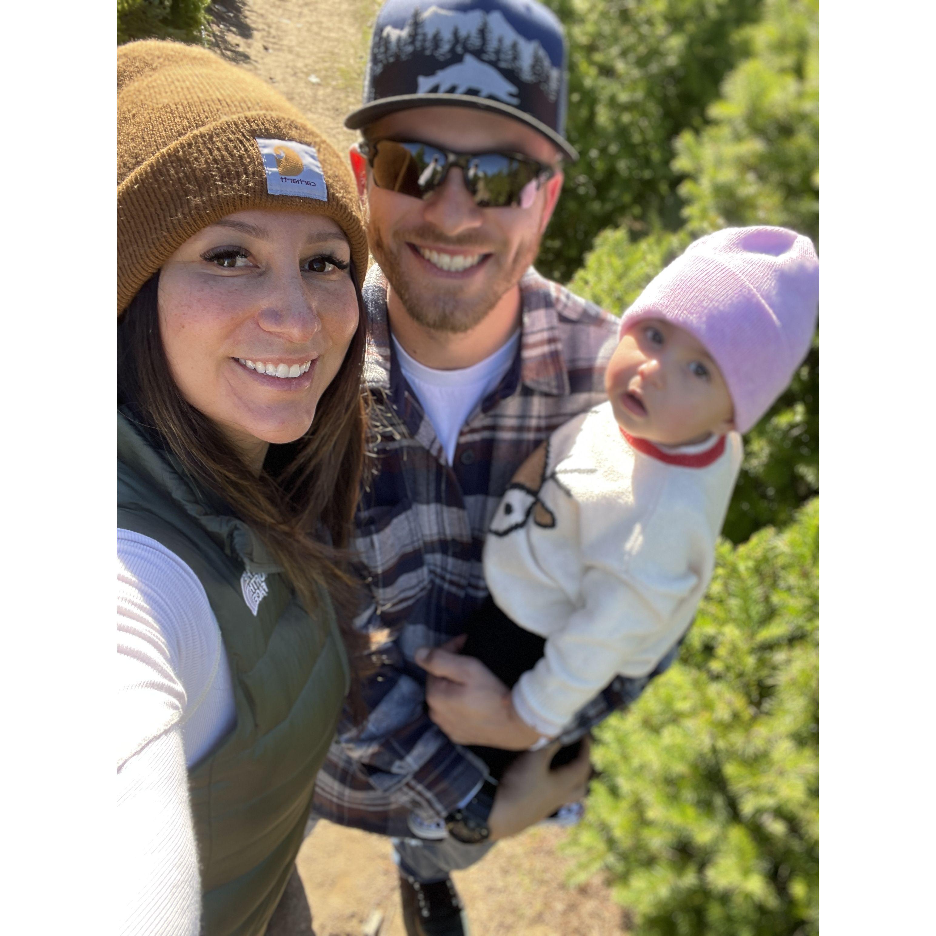 We cut down our first Christmas tree as a family