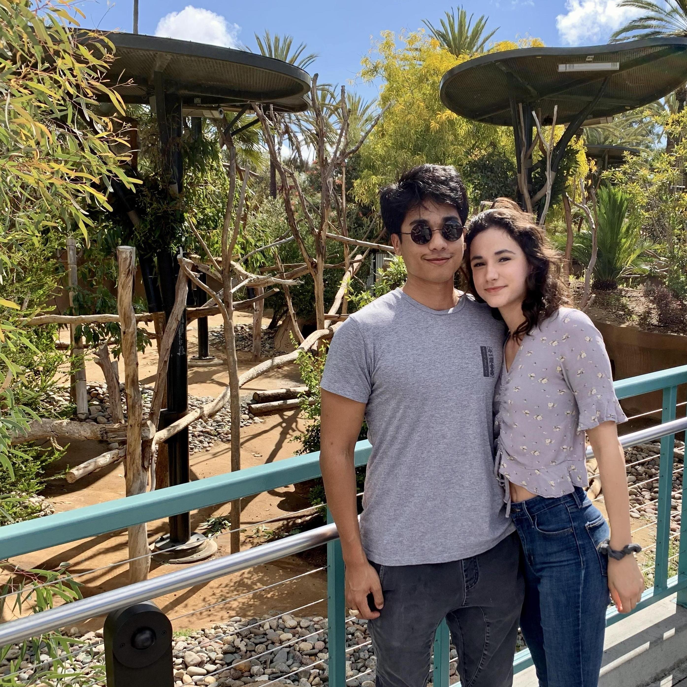 san diego zoo koalas