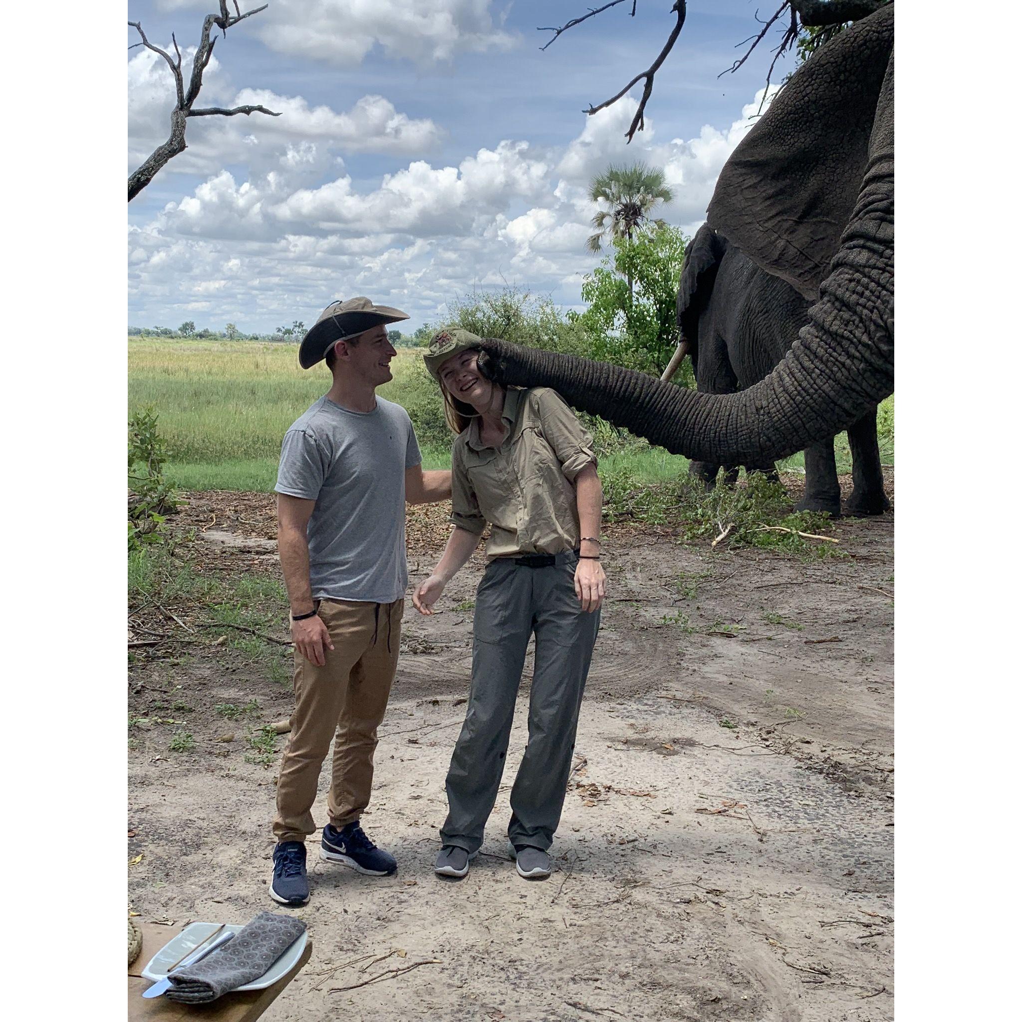 Botswana, January 2019