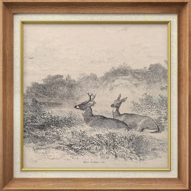 MUDECOR Premium Framed Wall Art Deer in Natural Habitat Antique Wildlife Classic Vintage Illustrations Fine Art Decorative Retro Historic Zen for Living Room, Bedroom, Office - 26"x26" Natural