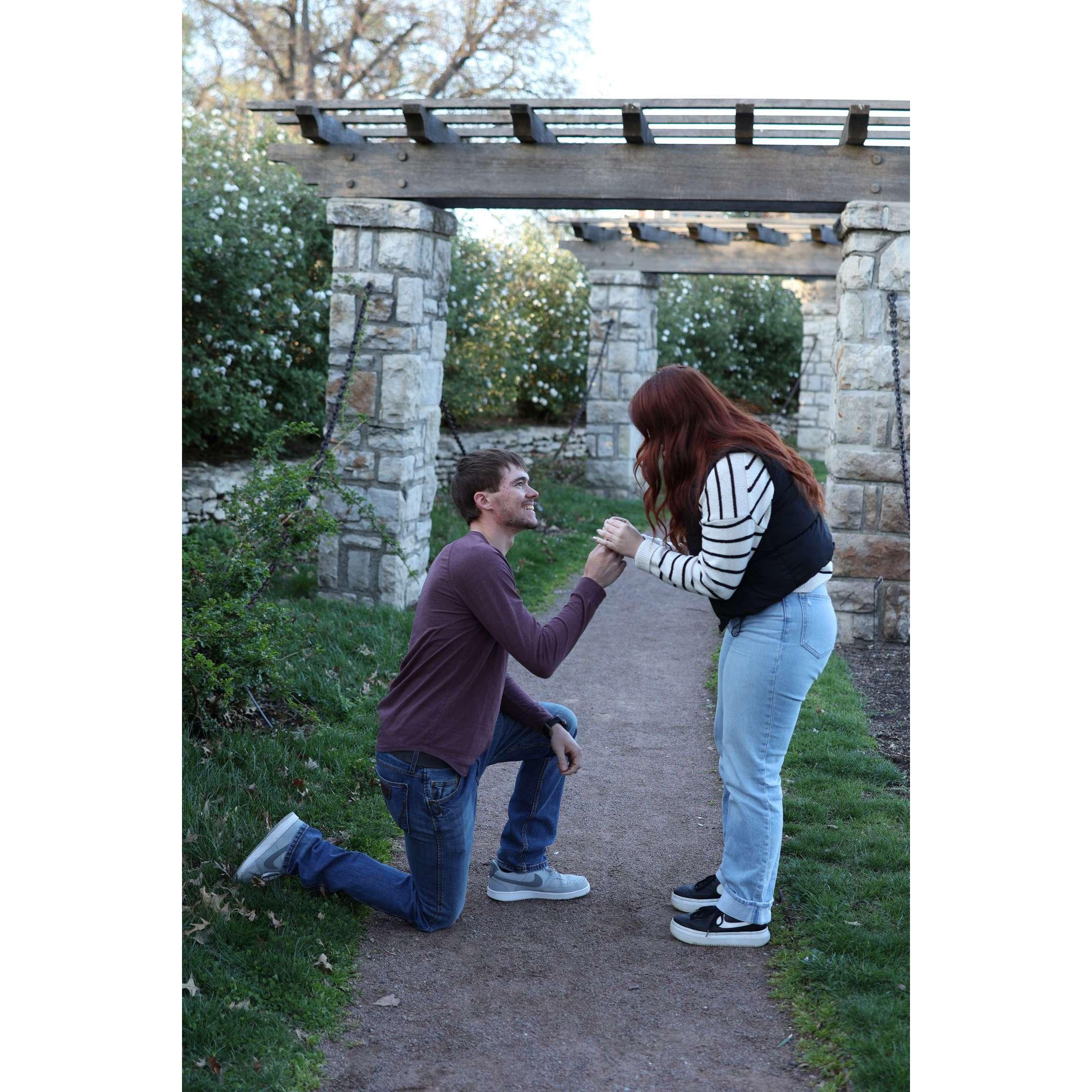 Proposal