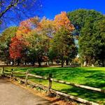 Eisenhower Park
