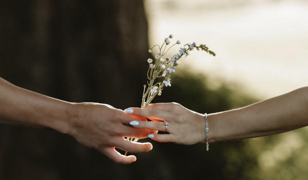 The Wedding Website of Malia Kelley and Jayden Meaux