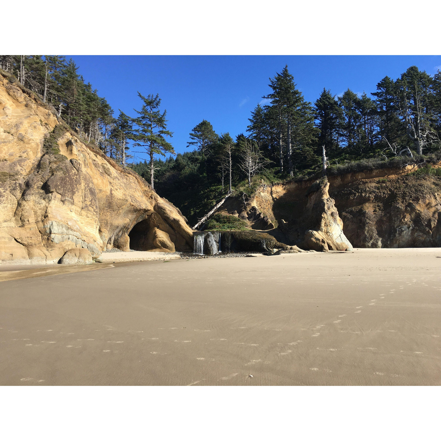 Hug point waterfall you can see on the beach only during low tide - also a great place to see tide pools at low tide if you walk along an old road along the rocks that is only exposed during low tide!