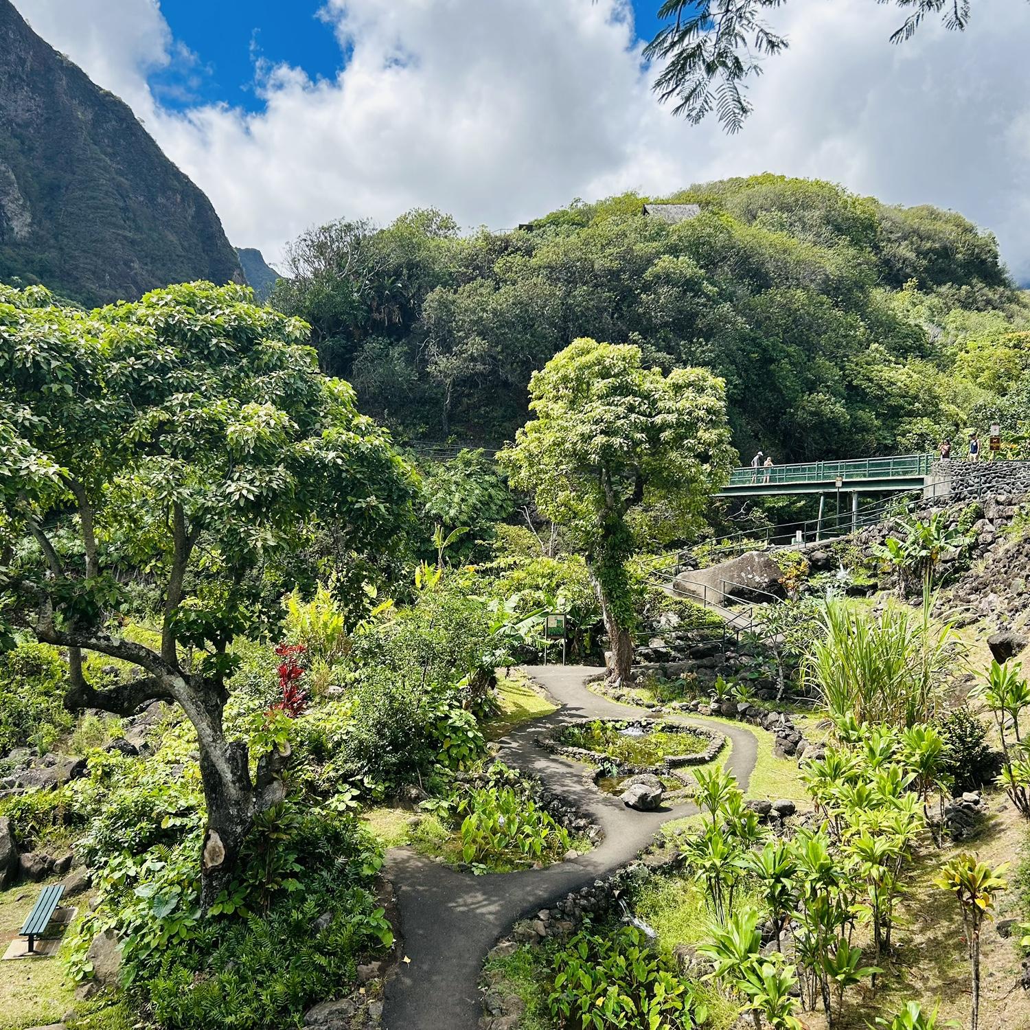 Iao Valley