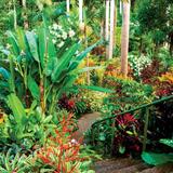 Hunte's Gardens