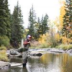 Fly Fishing
