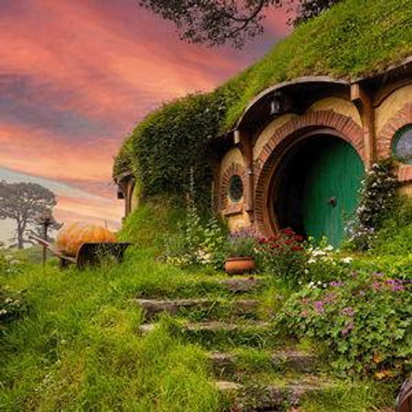 Our New Zealand Honeymoon