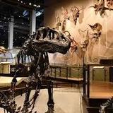 Natural History Museum of Utah