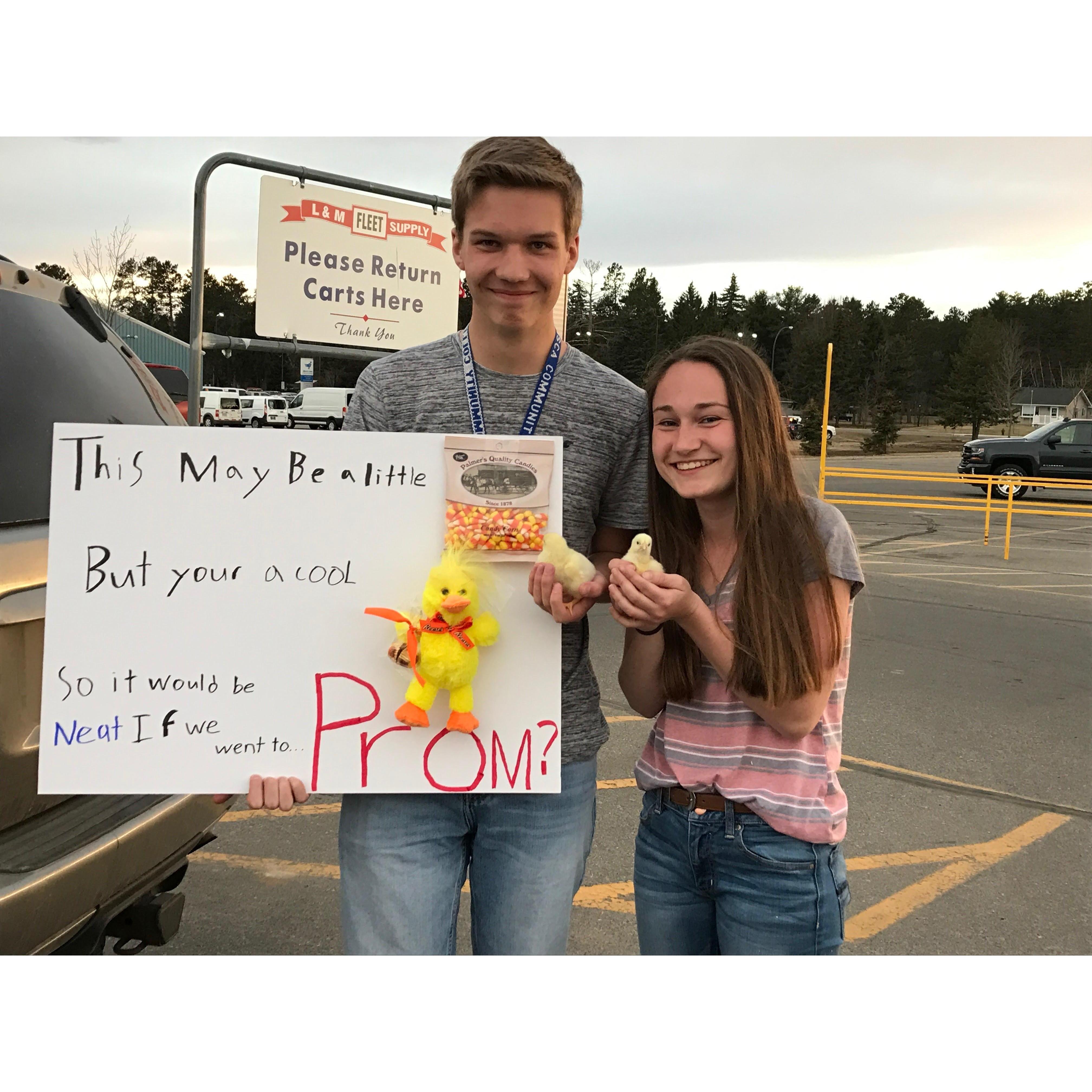 Junior year promposal. April 2017.