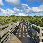 First Landing State Park