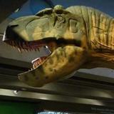 Museum of Science