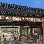 Arizona-Sonora Desert Museum