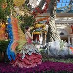 Bellagio Conservatory & Botanical Gardens