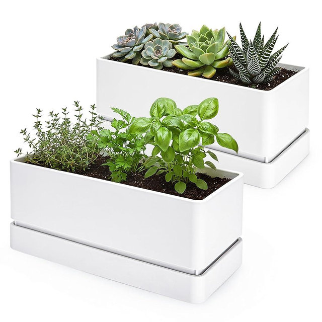 D'vine Dev 12" x 6.5" Window Box Planter, Rectangular Plastic Herb Planter with Drainage Holes & Saucer, Succulent, Cactus & Vegetable Pot for Windowsills/Balconies, White, Set of 2, 76-P-A-2