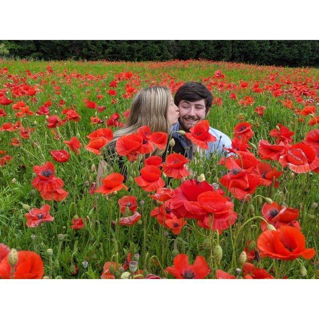 2020 - Poppy field by our parents' house