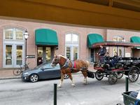 Historic Charleston City Market