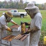 Hunter's Honey Farm