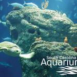 South Carolina Aquarium
