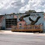 Social Fox Brewing