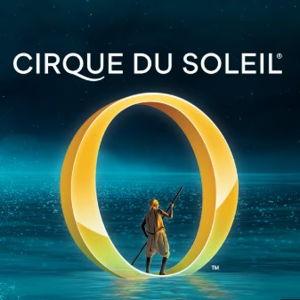 Cirque du Soleil on Honeymoon