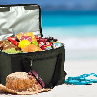 40-Can Folding Picnic Cooler Bag