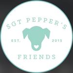 Sgt. Pepper’s Friends