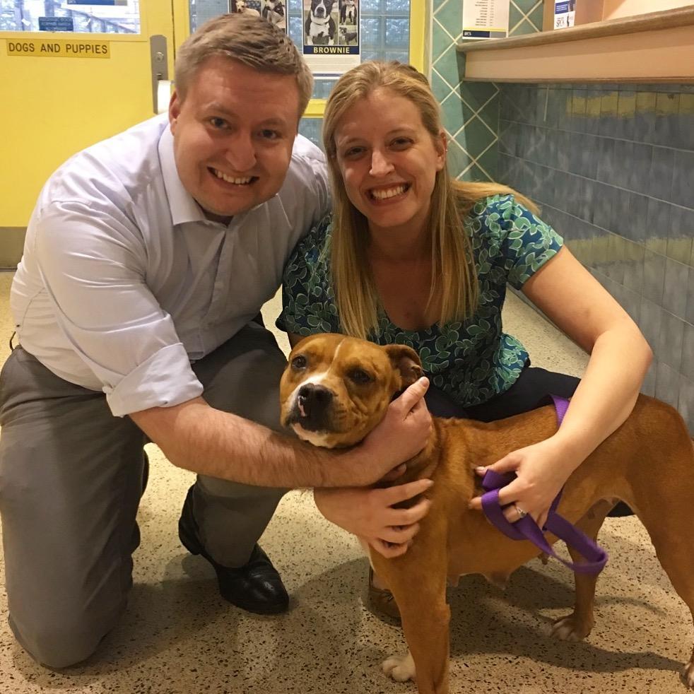 Maggie's Gotcha Day, April 17, 2017!