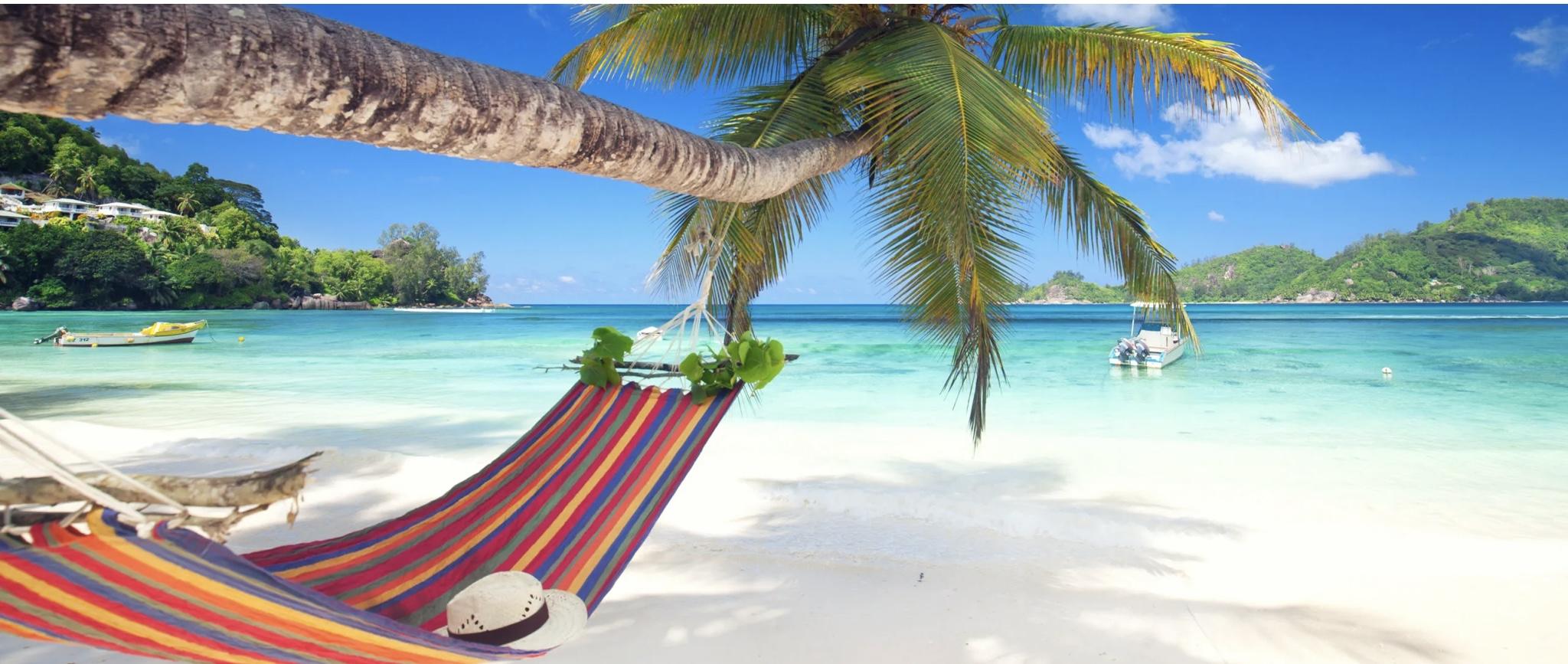 The Wedding Website of Tina Nieves and LeMonte Boyce