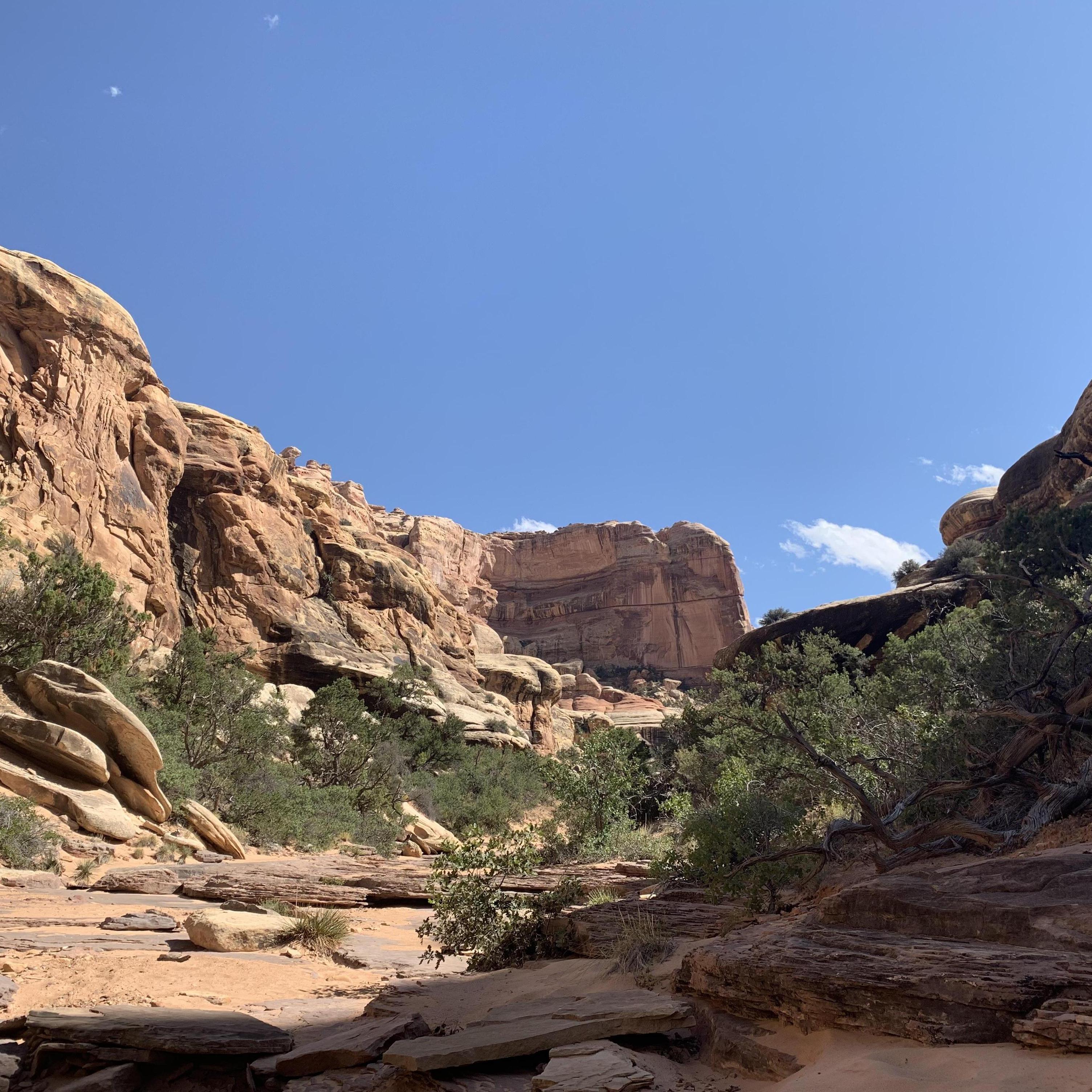 Riverbed terrain sampler on the way to druid arch.
