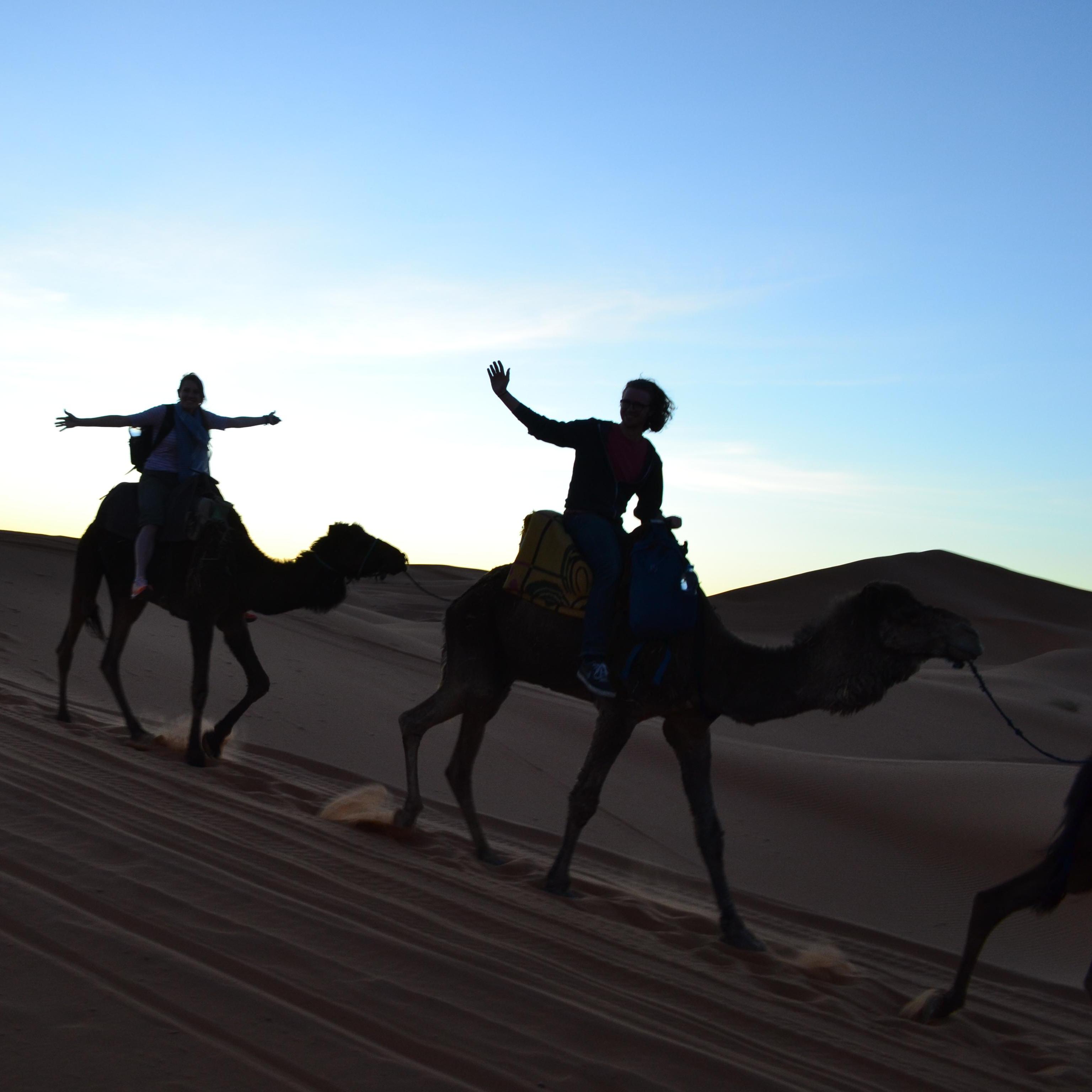 Kyle loves Em. He also loves camels.
