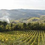 Nearby Wine Regions