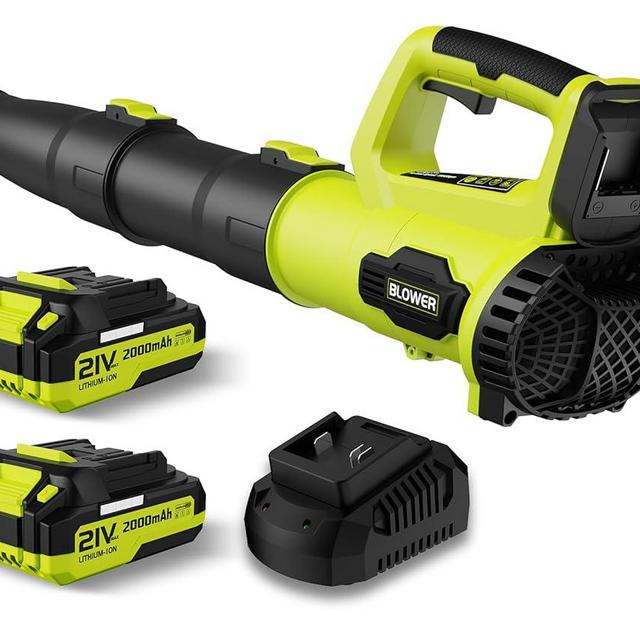 Leaf Blower, 21V Cordless Electric Leaf Blower with 2 2.0Ah Batteries and 1 Hour Fast Charger, Lightweight Leaf Blower for Patio Cleaning, Lawn Care, Blowing Fallen Leaves and Dust, etc.